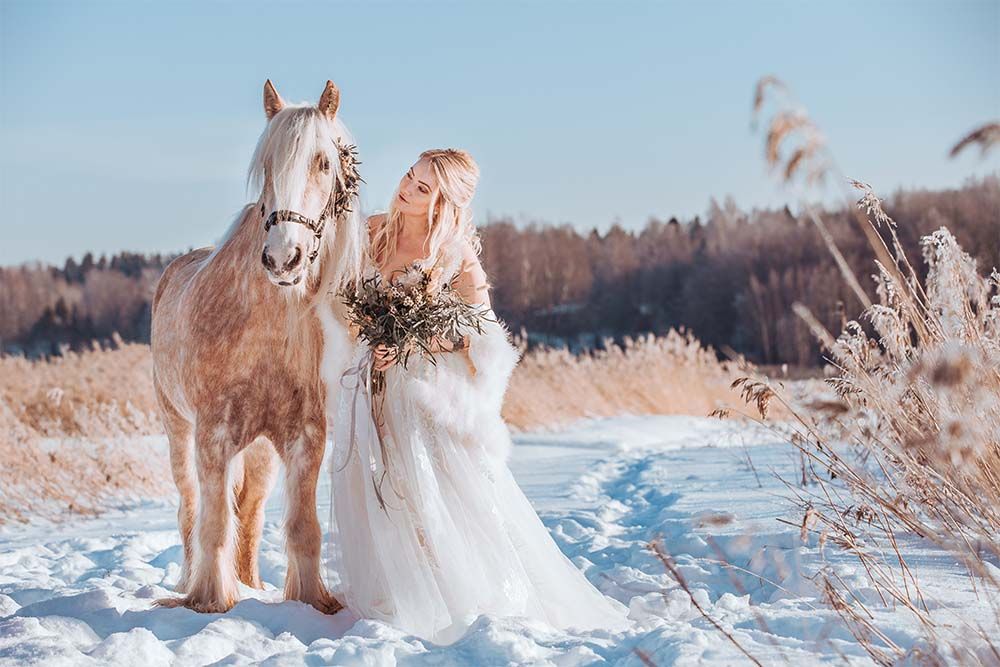 Talvimorsian ja hevonen Valkoinen kreivitär